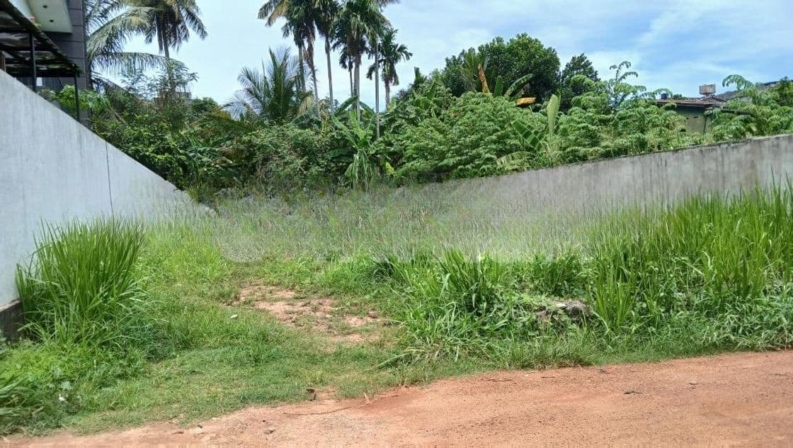 Land for Sale in Govikam Pedesa Road Raththanapitiya