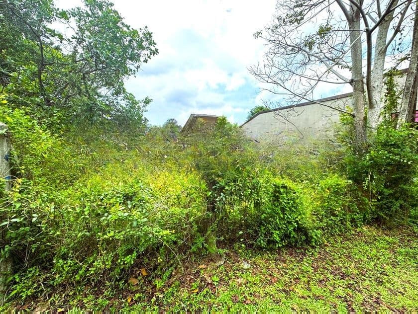 Land for Sale in Halbarawa Gardens Thalahena