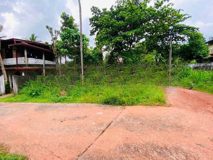 10.1 Perches Square-Shaped Flat Land Sudarshana Mawatha