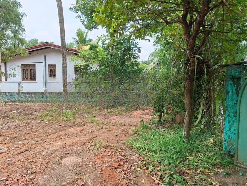 කඩවත, ජයමාවත පිහිටි වටිනා ඉඩමක් විකිණීමට. (ID: KDWT001S)