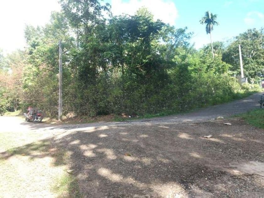 පිළියන්දල නගරයට ආසන්නව වටිනා ඉඩම විකිණීමට