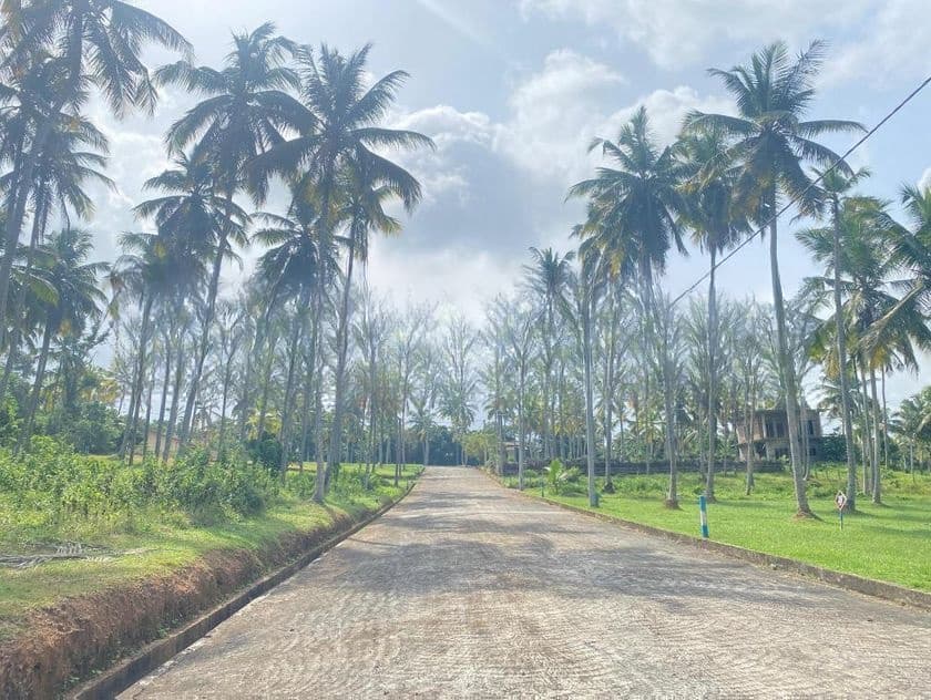Land for Sale in Udugampola