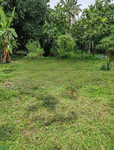 Land for Sale in Kadawatha