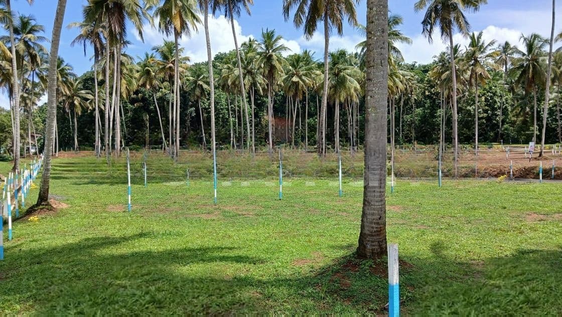 Land for Sale in Polgahawela Near Koskale Forest