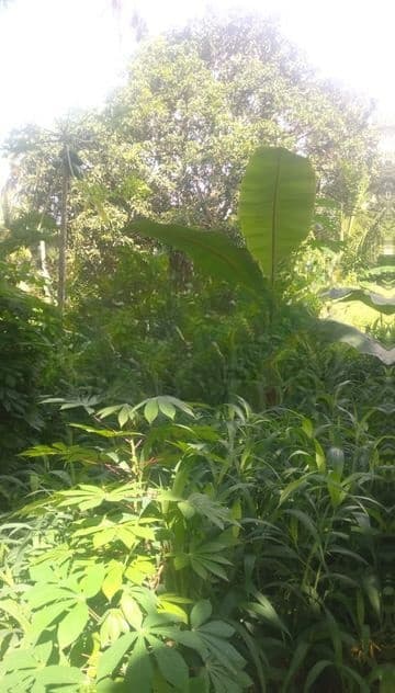 Land for Sale Katunayaka