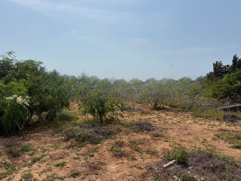 Land for Sale Valvettithurai