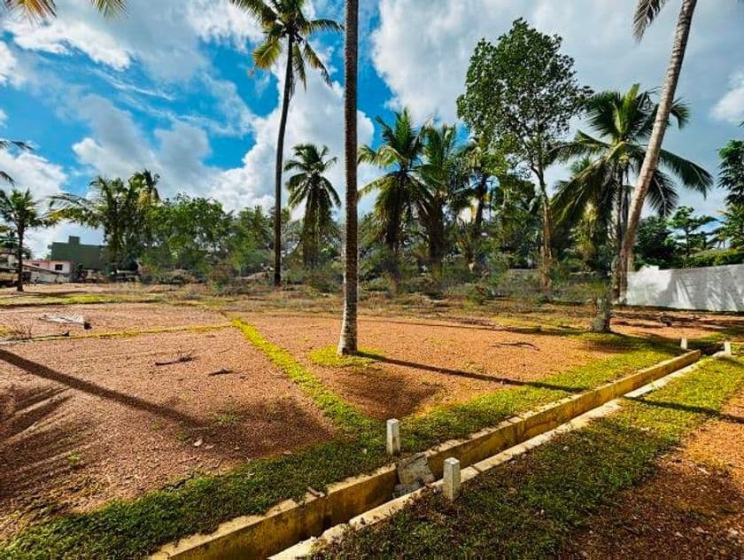 කැස්බෑව නගරාසන්නයෙන් 120බස්පාරට බිම්කොටස් විකිණීමට ඩී