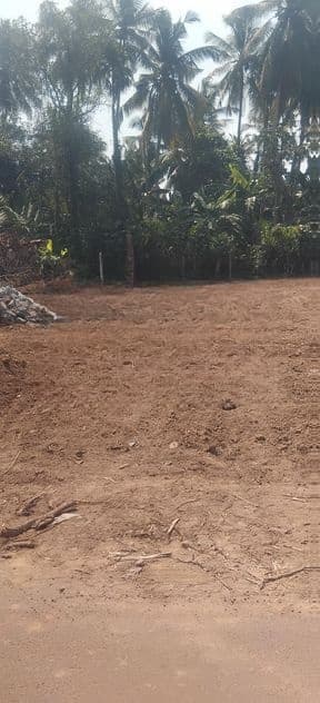 Valuable Land for Sale in Sidduwa Ranaviru Mawatha