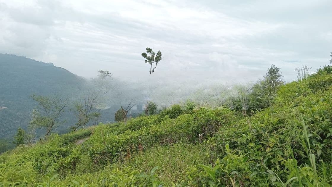 Land for Sale Nuwara Eliya Pussellawa