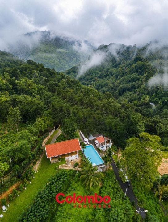 Kandy Hotel – Tea Estate Eco Retreat & Spa / Hotel for SALE - Kandy (HTL46)