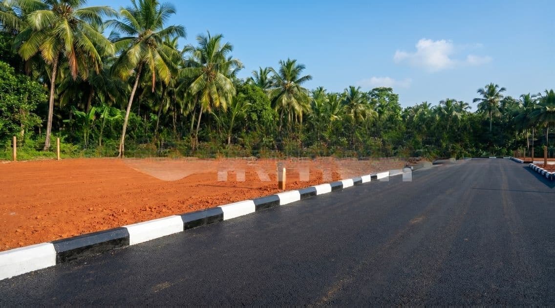 Kalutara බෝධියට සමීපයෙන් අගනා බිම්කොටස් කිහිපයක් විකිණීමට