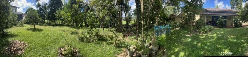 48.77p Land for Sale In Temple Road, Maharagama (SL 14138)