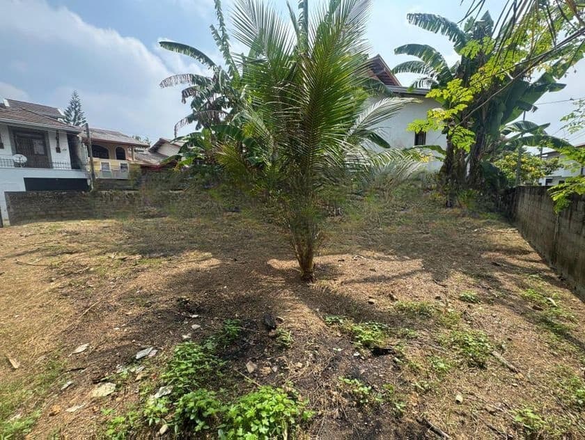 10.90P Bare Land For Sale In Bokundara