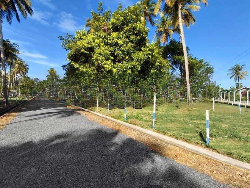 Mellawsgedara Road Facing Land