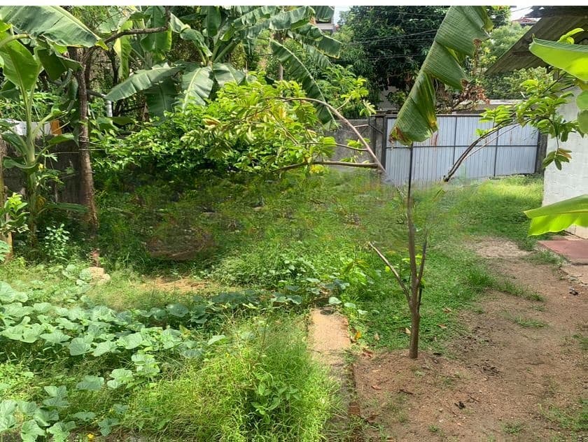 Rajagiriya - 6.15 Perches Land