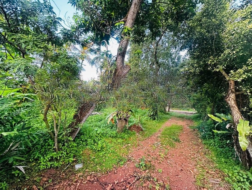 30 P Land for Sale in Wathegedra Road Maharagama