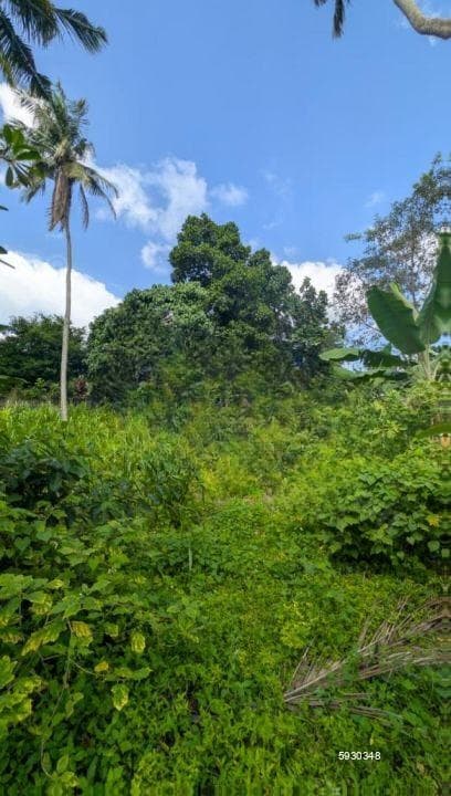 Residential Land for Sale in Madiwela, Kotte | Investment LKR 77.2 Million (Negotiable) (LA4811)