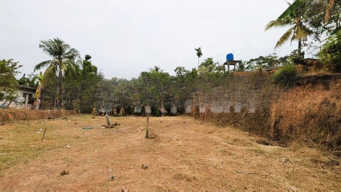 රාගමෙන් වටිනා බිම් කොටස් 2ක් විකිණීමට / ER 11238