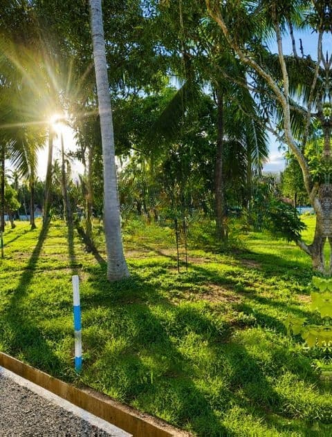 Valuable Land Plots in Pannala. s