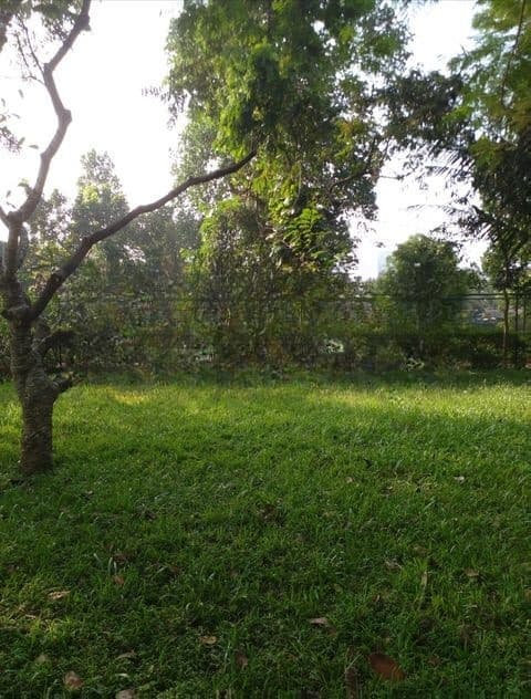 Land for Sale In Boralesgamuwa- CL834