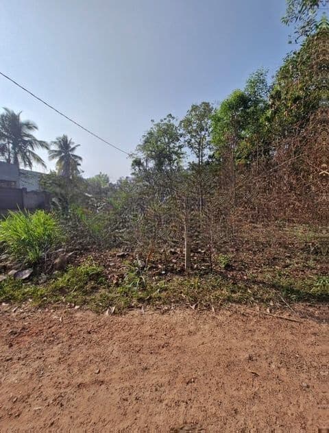 Land for Sale in Gampaha