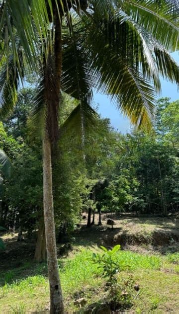 Land for Sale in Unawatuna, Talpe (LA4673)