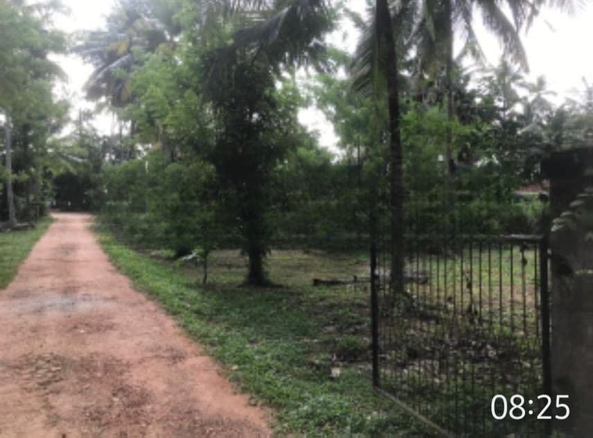 Gampaha City Limits Land for Sale ( RLS - 739)