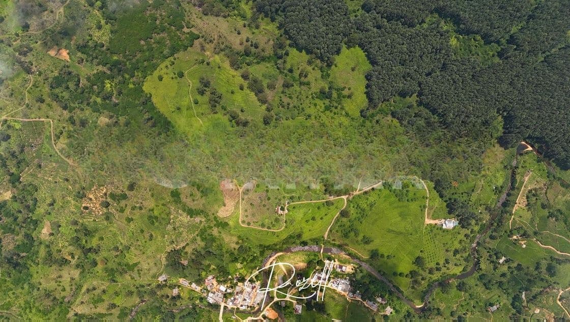 Beautiful Houses for sale in Rozella