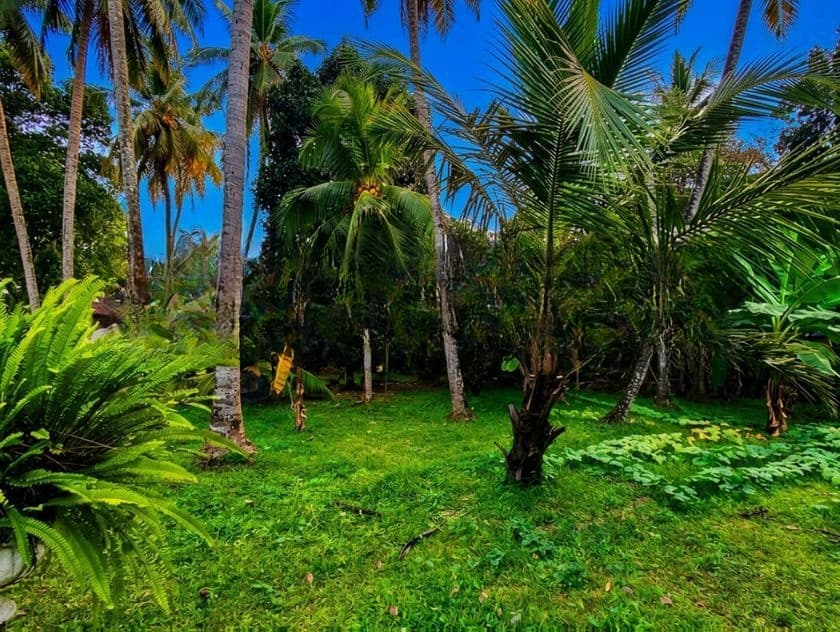 Land for Sale in Kelaniya