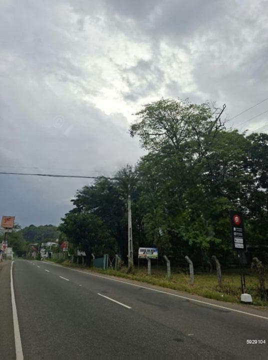 Land for Rent - 30 Perch in Colombo 05 (A6227)