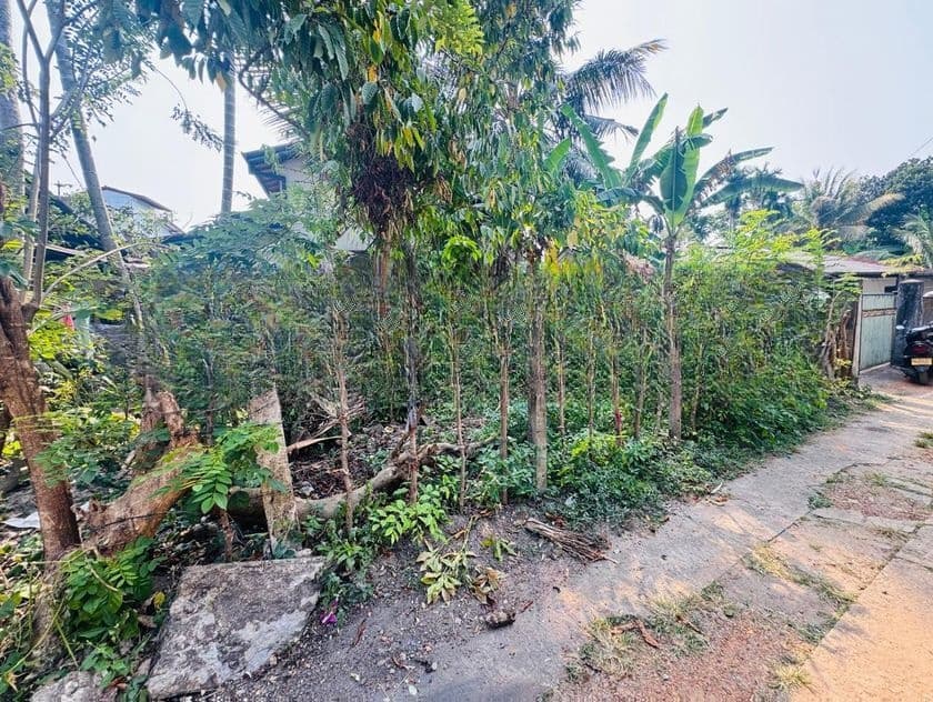 Valuable Land for Sale in Piliyandala Bokundara