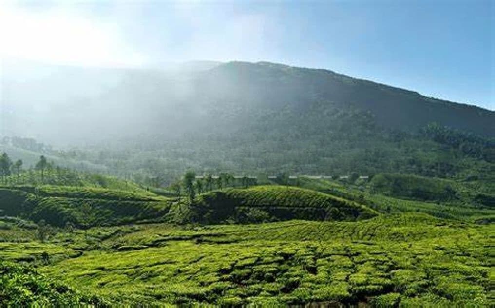 Green View Point Land for Sale Nuwara Eliya Road