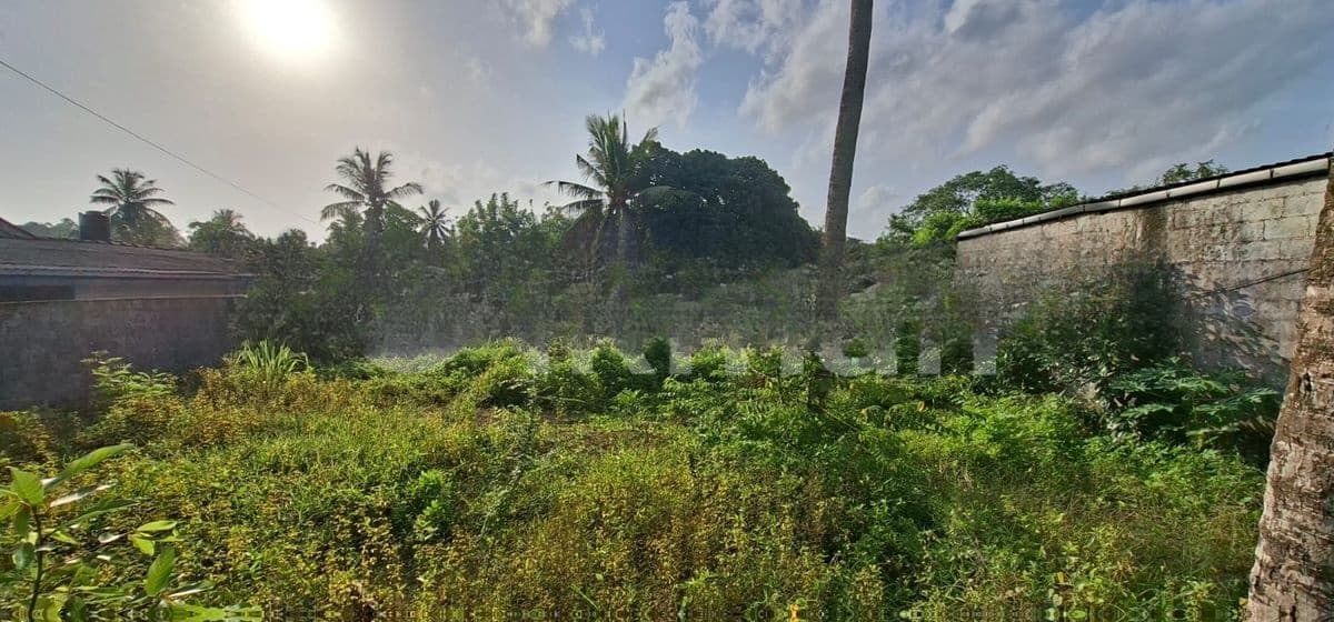 Land for Sale Piliyandala Nanpamunuwa