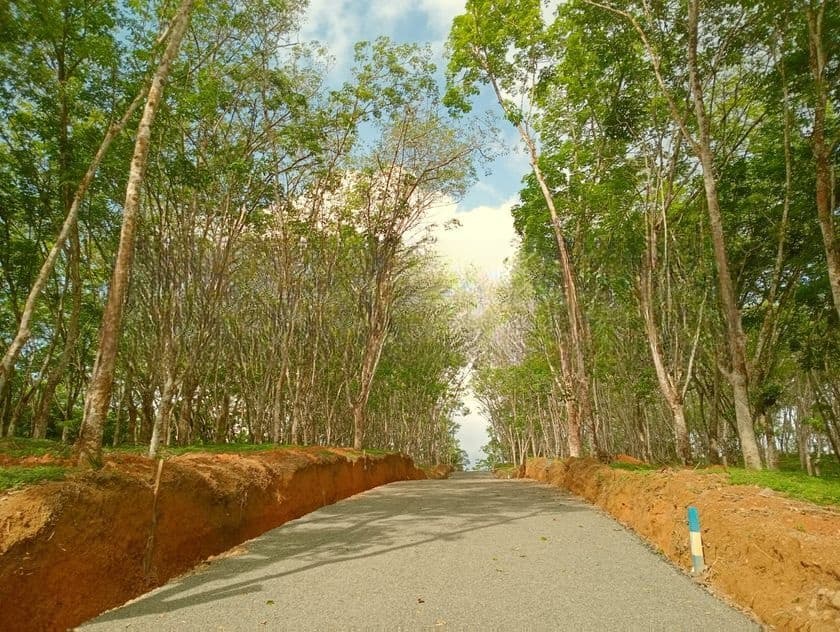 Land for Sale in Ahangama