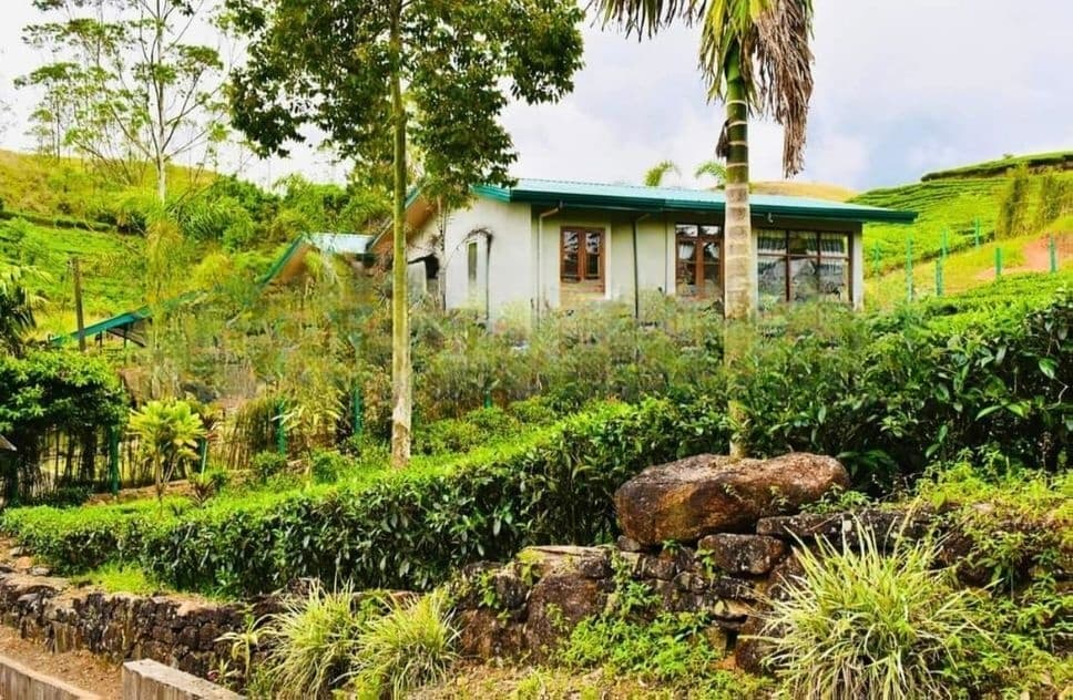 HATTON : 12-ACRE COMMERCIAL TEA ESTATE WITH RESORT FOR SALE