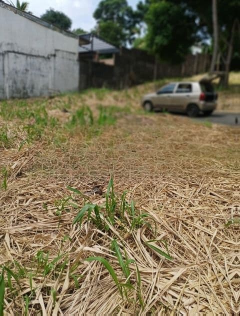 Land for Sale Koswatta