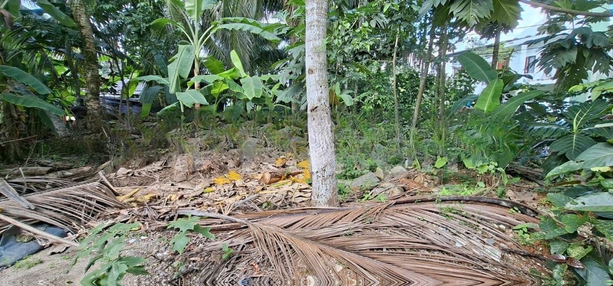Land for Sale Boralesgamuwa Raththanapitiya