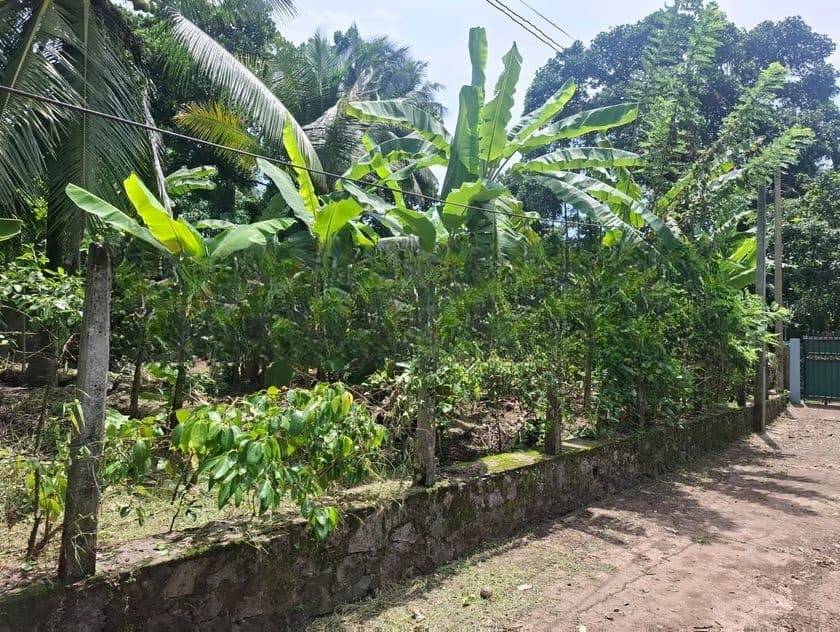Land for Sale in Gampaha, Mudungoda