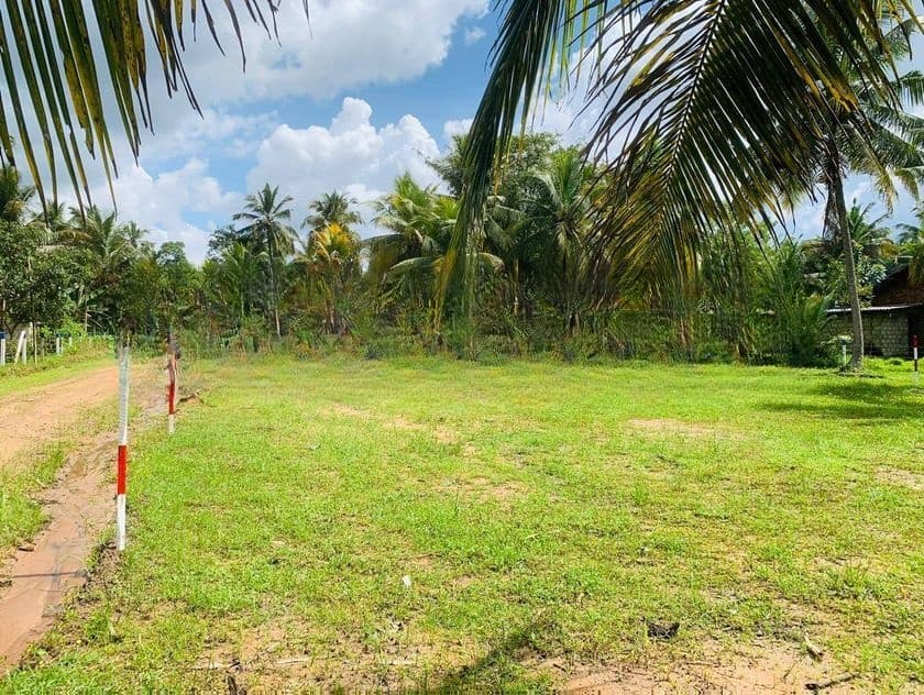 සුන්දර වටපිටාවකින් නේවාසික බිම් කොටස් පොතුහැර