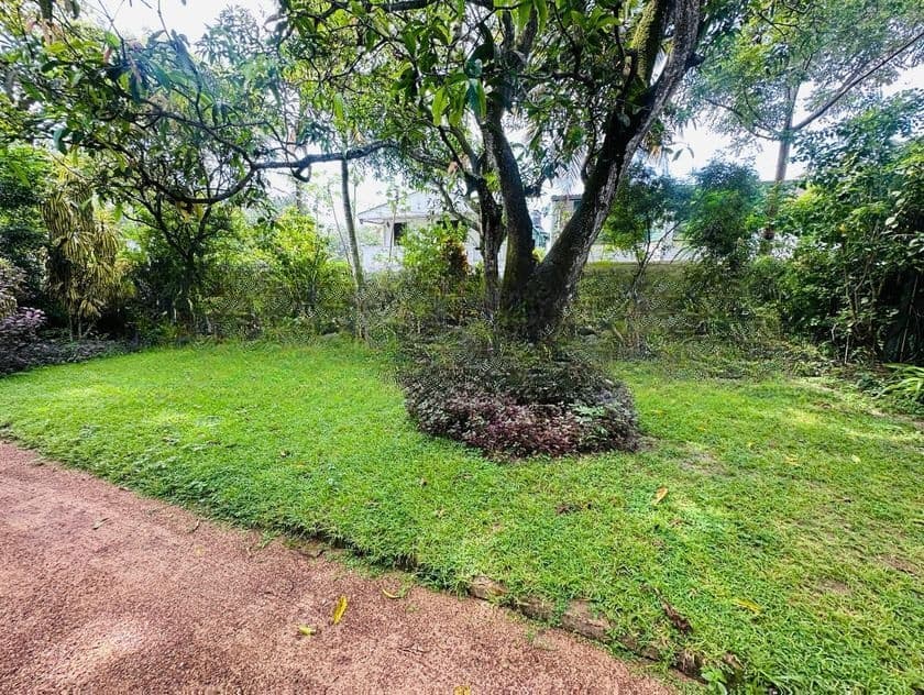 (AF340) 10 P Land Sale At Facing Peterson Road Colombo 06
