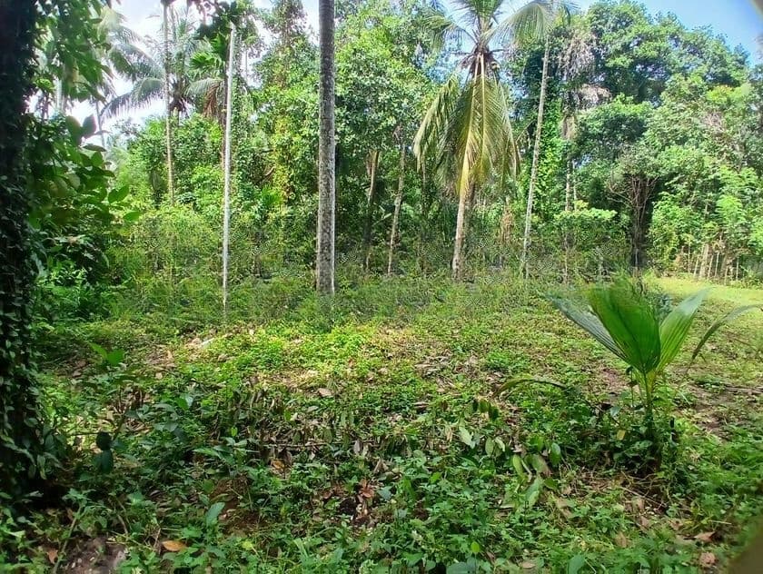 Land for Sale Gampaha Asgiriya