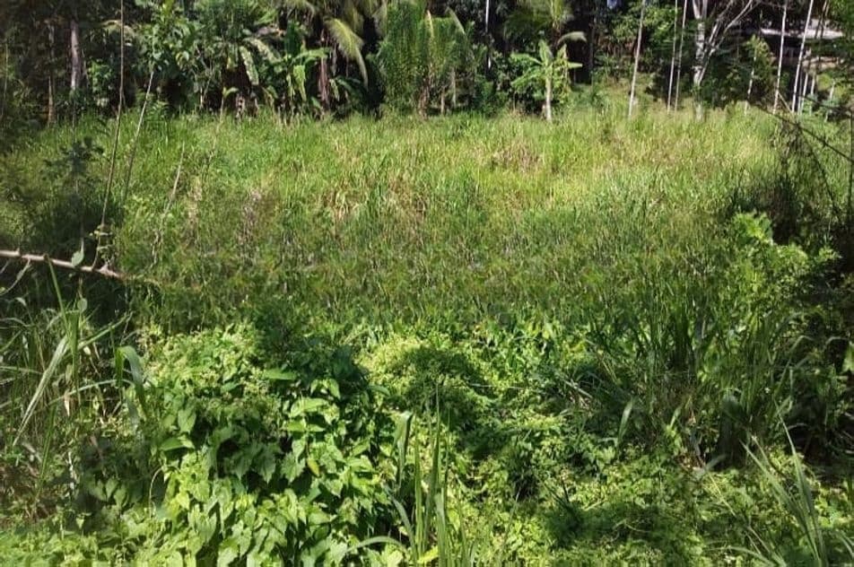Land for Sale ගාල්ල