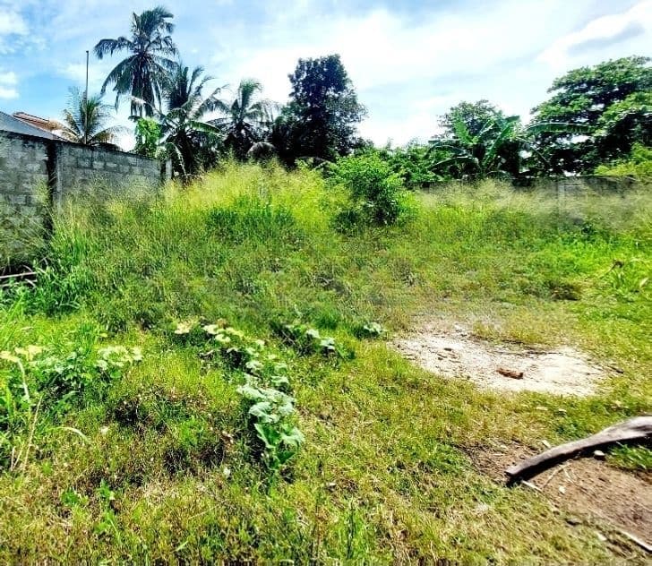 8.3 Perch Bare Land For Sale In Attidiya Near Main Road