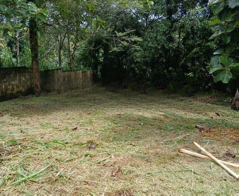 land in kadawatha - walipillawa