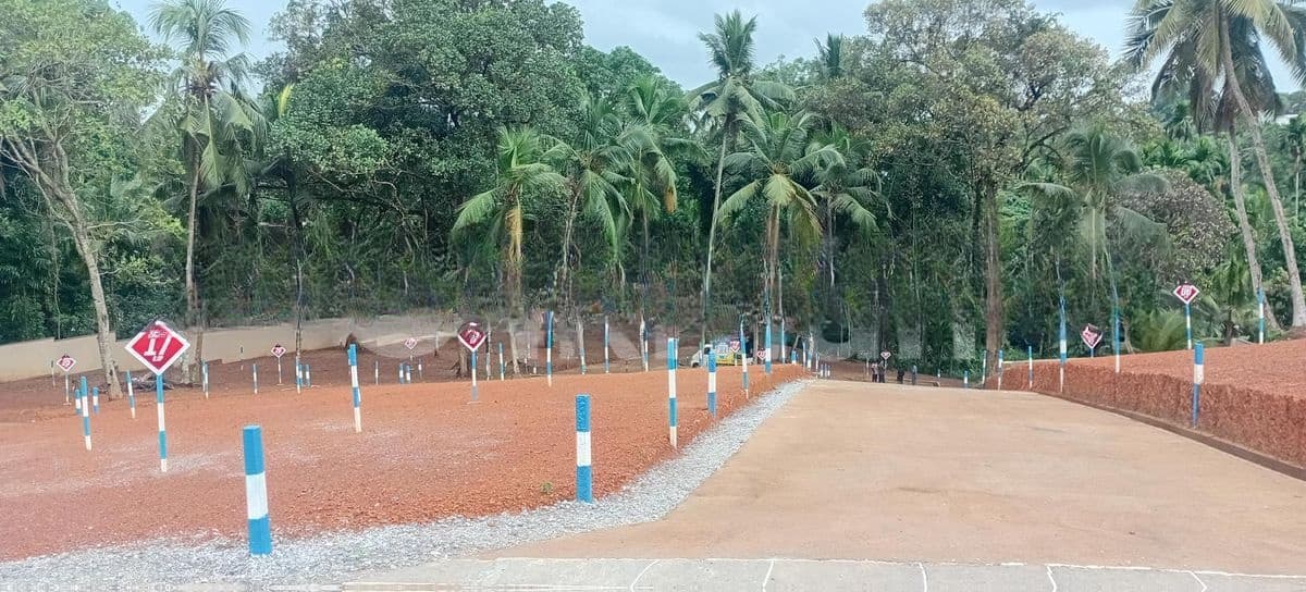 කඩවත නගරයෙන් වටිනා ඉඩමක් විකිනීමට