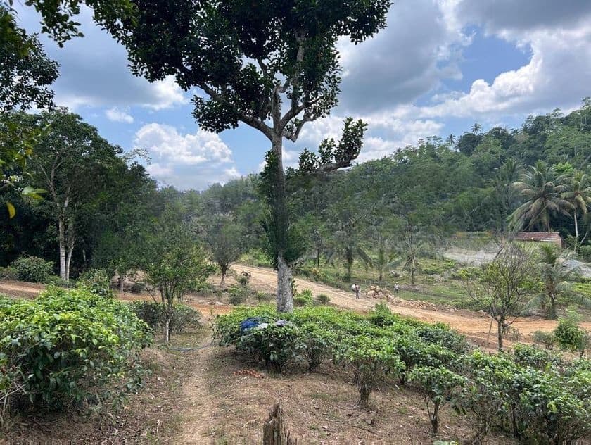උඩුගම බස් පාරේ ජයන්ති හන්දිය අසලින් හොඳම තැන