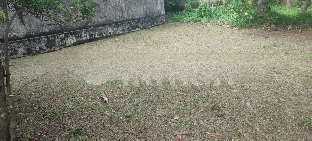 Land for Sale in Thalahena Udyana Mawatha