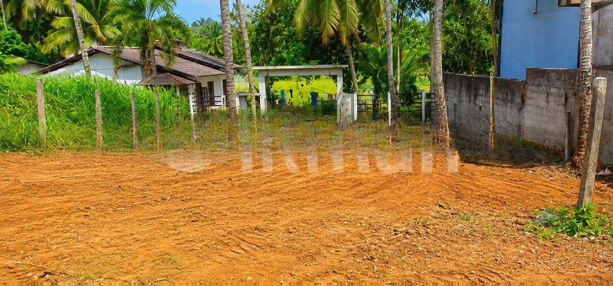 Nittambuwa 10 Perches Land for Sale (SSPL-492)