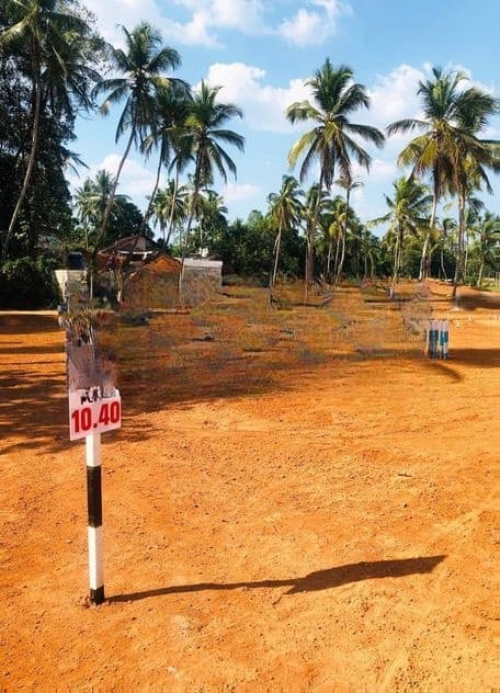 Super Land for Sale in Pasyala D03