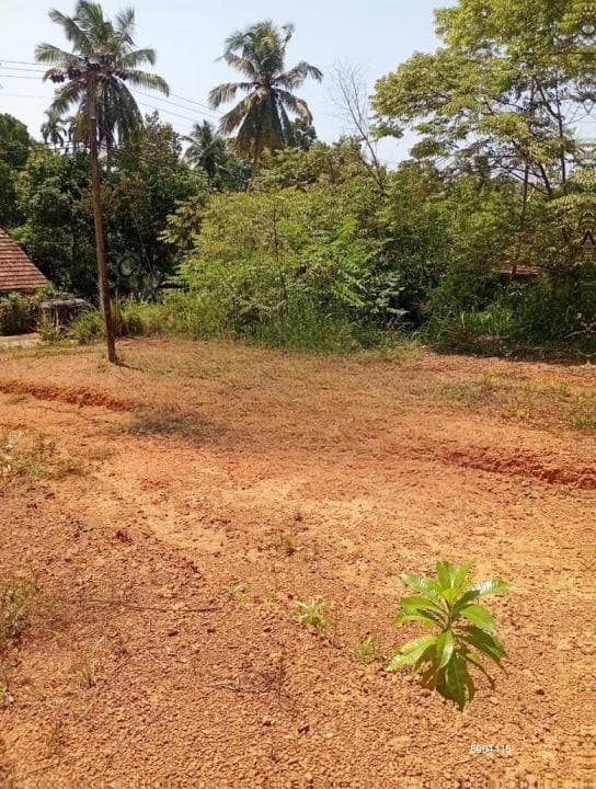 Kadawatha 12 Perches Commercial Land for Sale (SSPL-425)